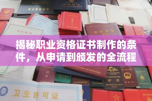 陆良揭秘职业资格证书制作的条件，从申请到颁发的全流程解析
