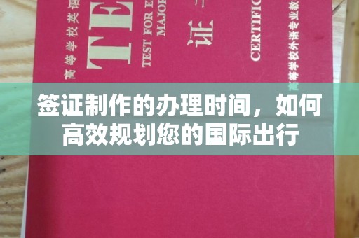 绥宁签证制作的办理时间，如何高效规划您的国际出行