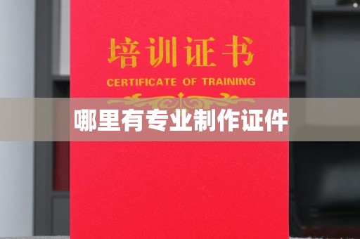 泰州哪里有专业制作证件